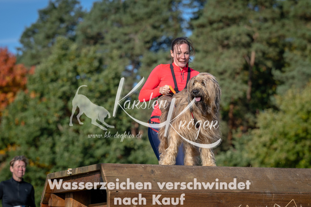 1025_ZZ90210 | kk-dogfotos