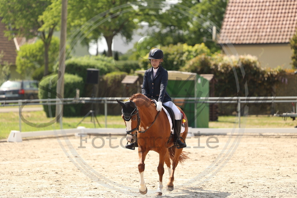 994A7423 | sabrinanicolaifotografie - Realisiert mit Pictrs.com