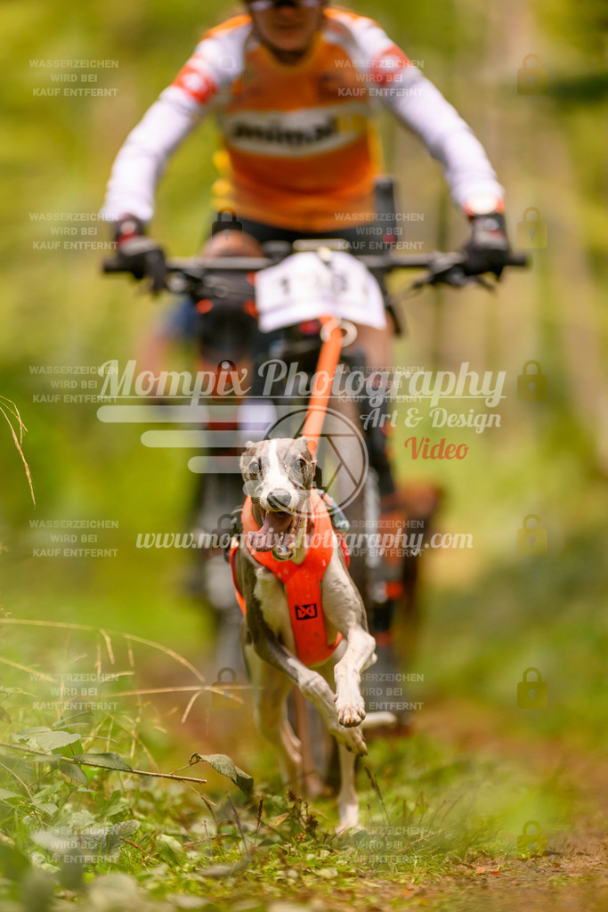 MompixPhotography_Yens2025_B2-127 | PayLife