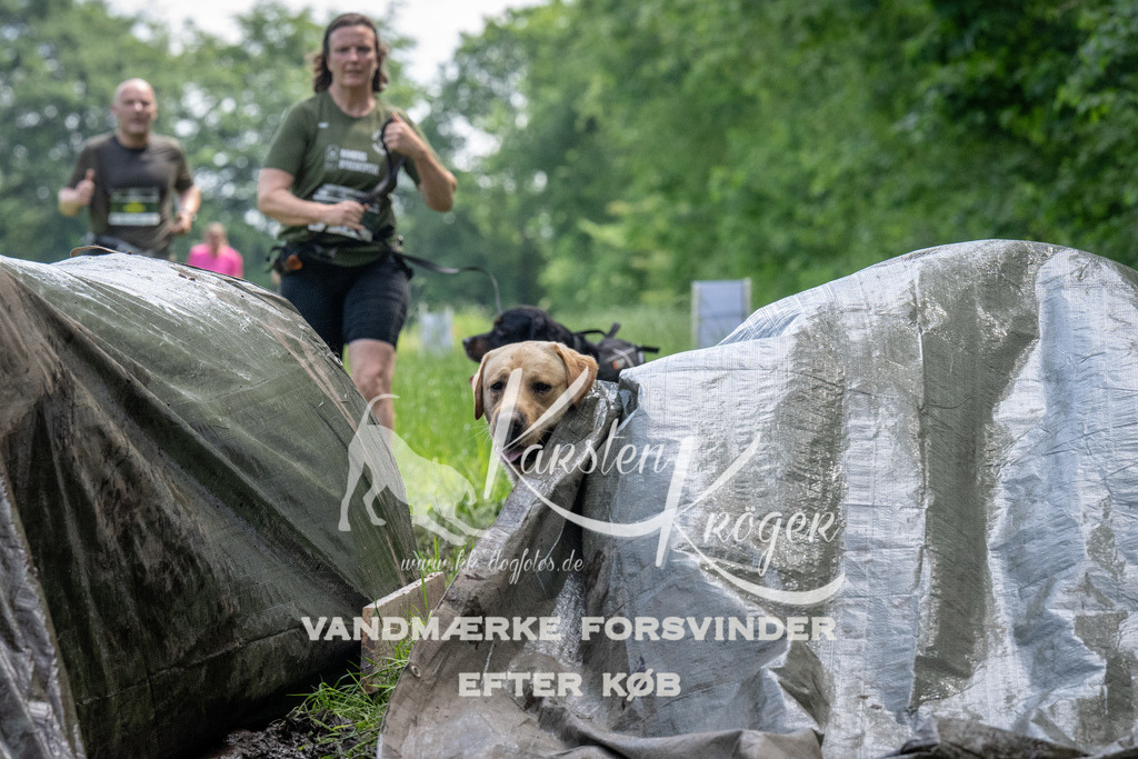 1142_ZZ93992 | kk-dogfotos