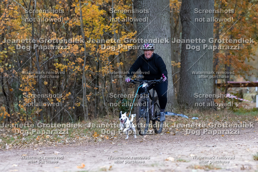 Dog Paparazzi - SD CaniX Championship 2025-600 | Dog Paparazzi Jeanette Grottendiek Fotografie & Videografie