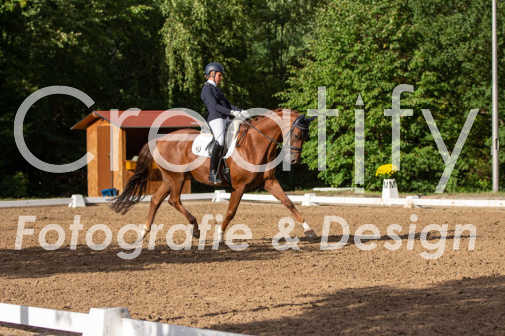 IMG_4700 | Creatify Fotografie