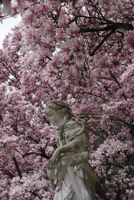 Momente 3 | Palastgarten Trier