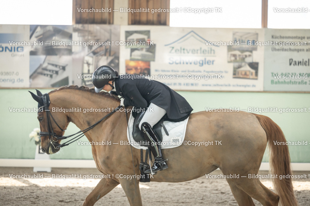 _D5A1401 | Emotionale Pferde- & People-Fotografie rund um Heidelberg, Leimen & Umgebung. Natürliche Fotos von Pferd, Mensch & Familie. Jetzt Termin sichern!