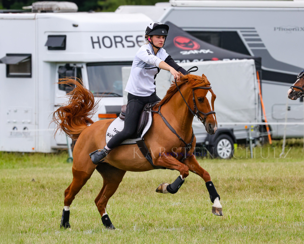 1B3A2798 | Reitsport Reiten