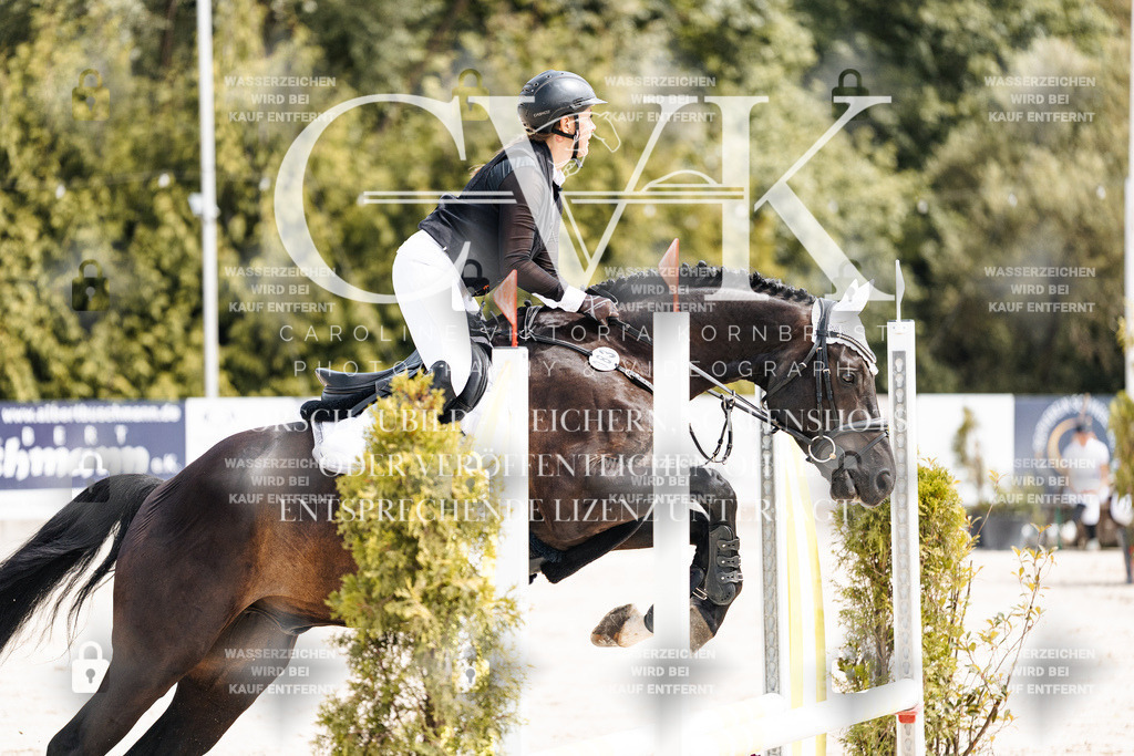CK906653 | Turnierfotografie Pferdefotografie Trier Rheinland-Pfalz Pferdesport Reitsport Tierfotografie Sportfotografie Pferdevideo Pferdevideografie Equestrianvideography equestrianphotography  - Realisiert mit Pictrs.com