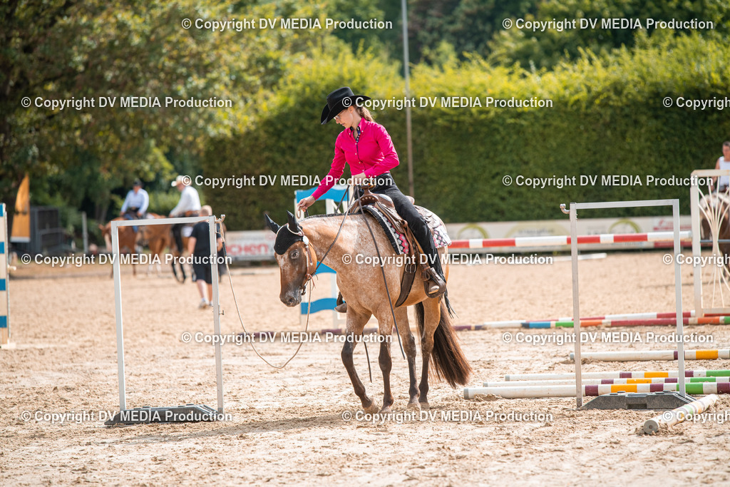 ZS3_9367 | dv-media-shop - Realisiert mit Pictrs.com