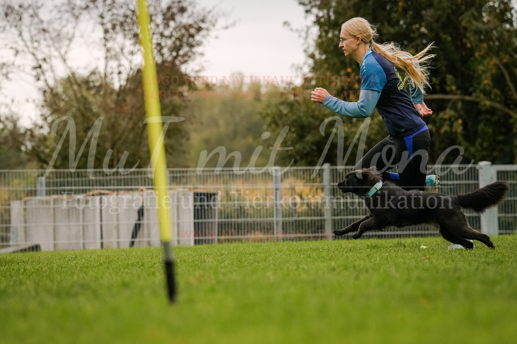 20251005_THS_Turnier-427 | MuT (Mensch und Tier) mit Mona - Fotografie und Tierkommunikation - Realisiert mit Pictrs.com