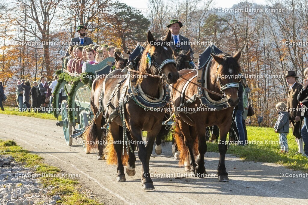 LBT24-1203 | foto-bettina-krinner - Realisiert mit Pictrs.com