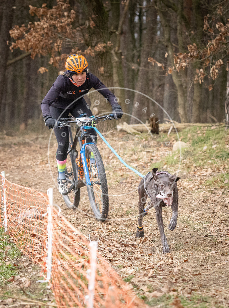 Pfotenfotografie_DV3A1358 | Hundefotografie, Tierfotograf, Pfotenfotografie, Fotoshooting Hund, Hunde Portrait, Hundesport, Hundeportraits, Heideshooting, Hunde, Sportfotograf, Hundefotograf, Turnierhundsport, THS,  - Realisiert mit Pictrs.com
