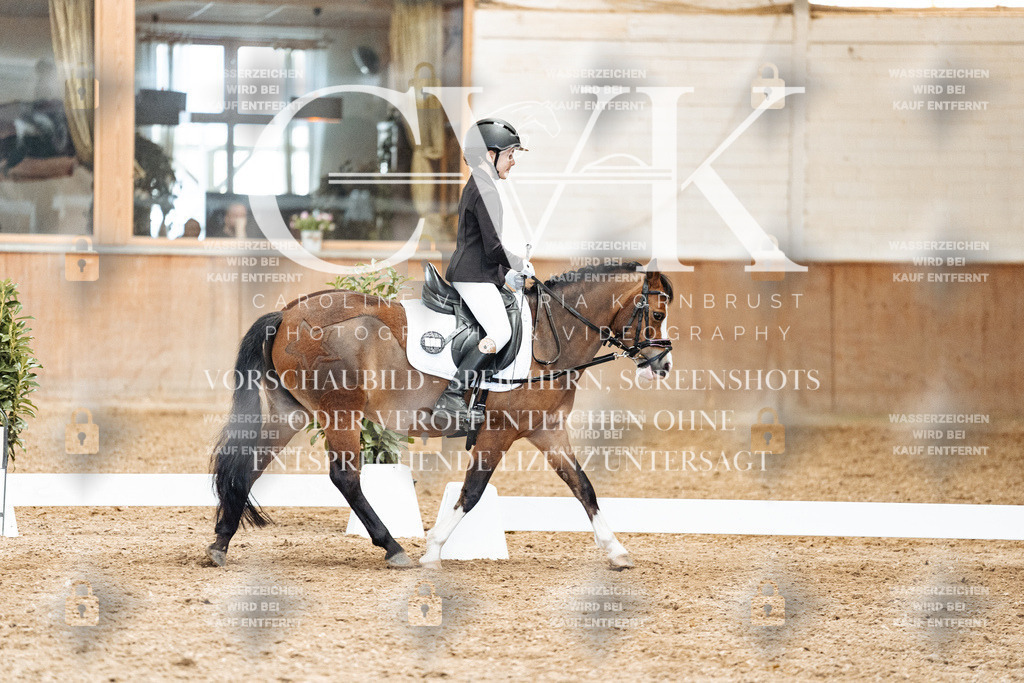 CK900446 | Turnierfotografie Pferdefotografie Trier Rheinland-Pfalz Pferdesport Reitsport Tierfotografie Sportfotografie Pferdevideo Pferdevideografie Equestrianvideography equestrianphotography  - Realisiert mit Pictrs.com