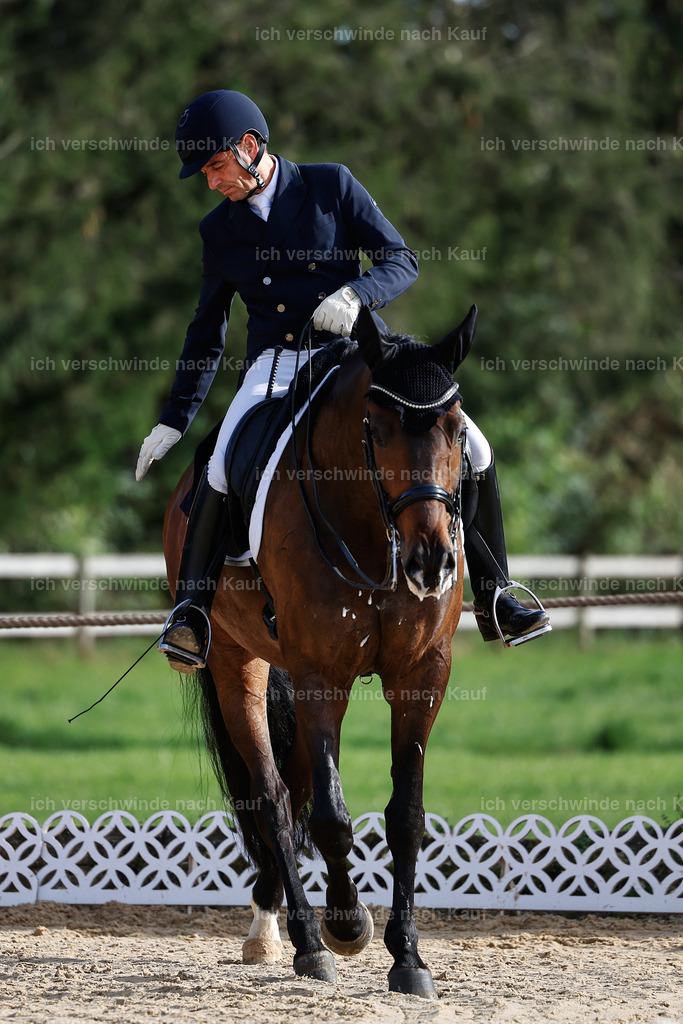13-226-S___ -StoibPH-6930 | working equitationturnier fotograf videograf stoibphotography marixx film working equitation deutschland reitsport turnierfotografie eventfotografie equestrian events