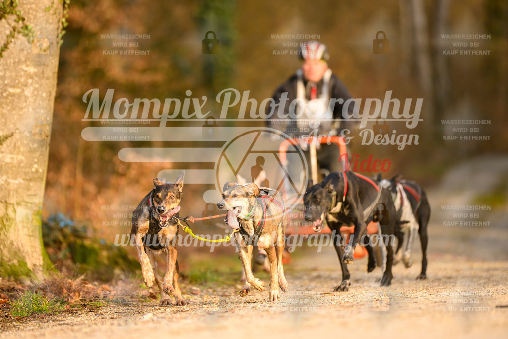 MompixPhotography_6ReiatRennen2026_SO_Kart-9 | PayLife