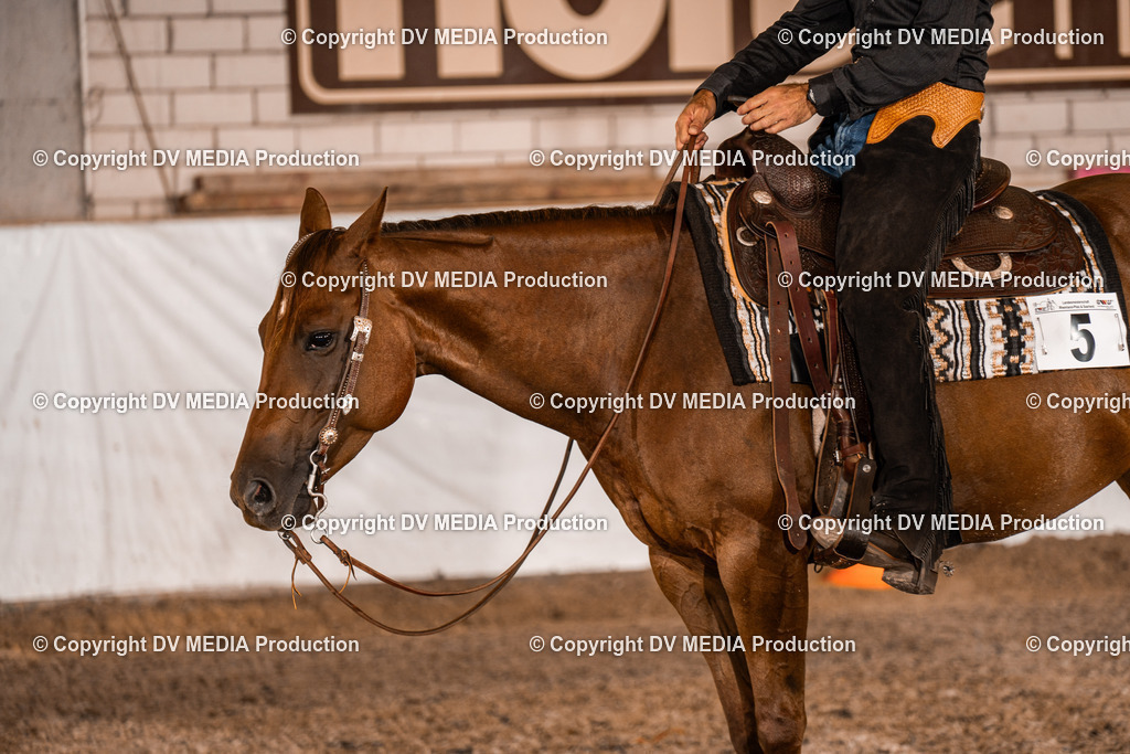 ZH200053 | dv-media-shop - Realisiert mit Pictrs.com