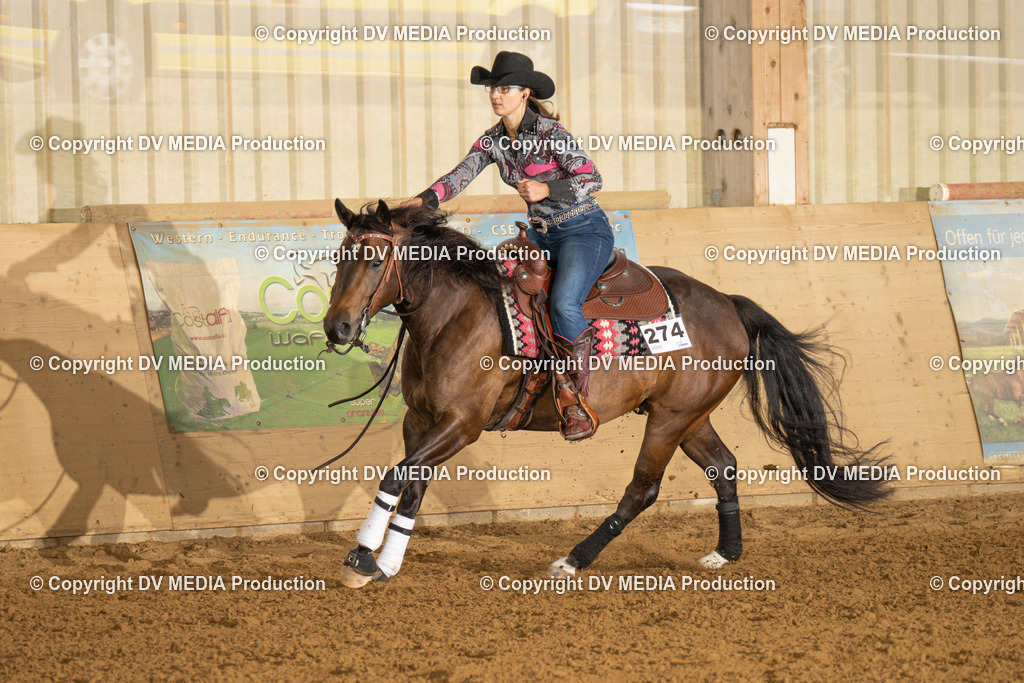 LAU00715 | dv-media-shop - Realisiert mit Pictrs.com