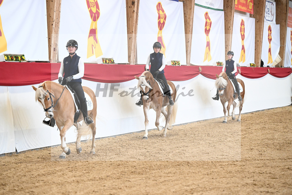 Schauprogramm Haflinger Quadrille_2251509 | hf-fotografie - Realisiert mit Pictrs.com