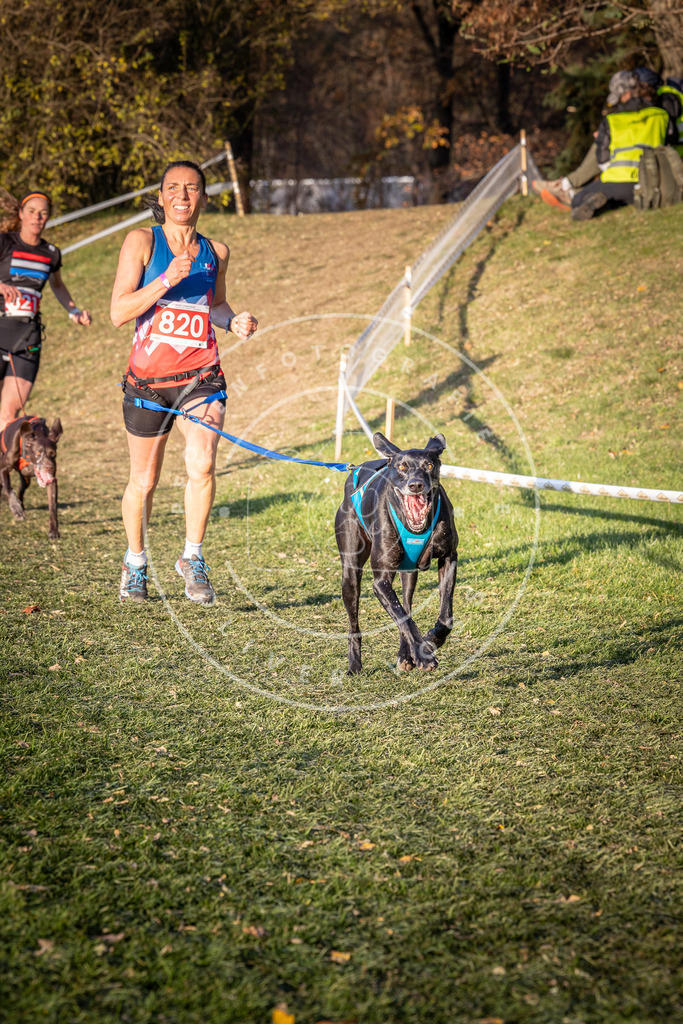 CaniXpix_0L8A0525 | Hundefotografie, Tierfotograf, Pfotenfotografie, Fotoshooting Hund, Hunde Portrait, Hundesport, Hundeportraits, Heideshooting, Hunde, Sportfotograf, Hundefotograf, Turnierhundsport, THS,  - Realisiert mit Pictrs.com