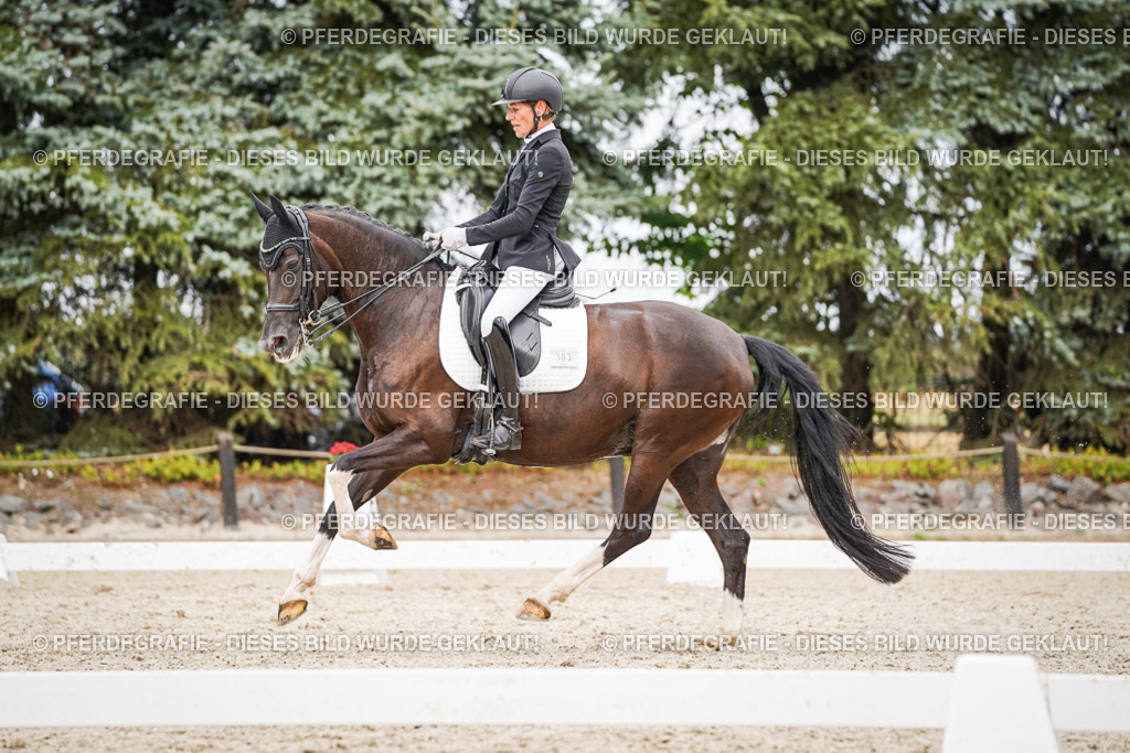 DSC07612 | Pferdegrafie