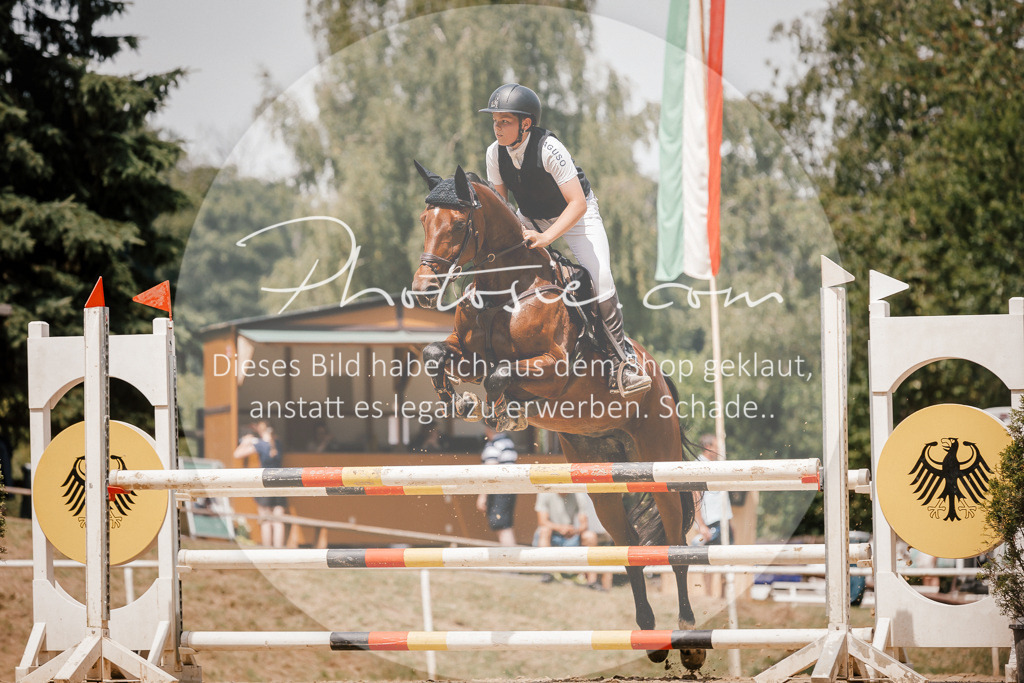 3I6A7998 | Stimmungsvolle Portraits und Reitsportfotografie im Ruhrgebiet und im Münsterland.

Pferdefotografie, Hundefotografie, Tierfotografie, Reportagen, Portraits von Tier und Mensch, Turnierfotografie in Bochum, Recklinghausen, Marl, Haltern am See, Dülmen.. - Realized with Pictrs.com