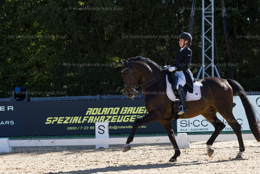 FHC2026_P07_88_17595 | working equitationturnier fotograf videograf stoibphotography marixx film working equitation deutschland reitsport turnierfotografie eventfotografie equestrian events