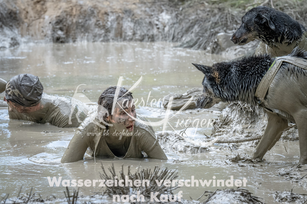 1124_ZZ92225 | kk-dogfotos