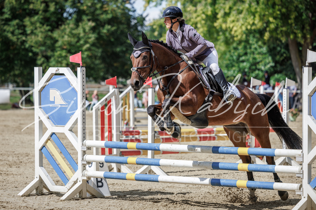 20260905-_3LI8817 | Tierfotografie Pferde, Hunde, Katzen, Haustiere.
Turnierfotografie Reitturniere, Reiten, Springreiten, Dressur in Hanau, dem Main-Kinzig-Kreis und dem Rhein-Main- Gebiet um Frankfurt