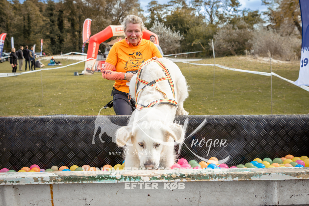 1356_ZZ92795-2 | kk-dogfotos