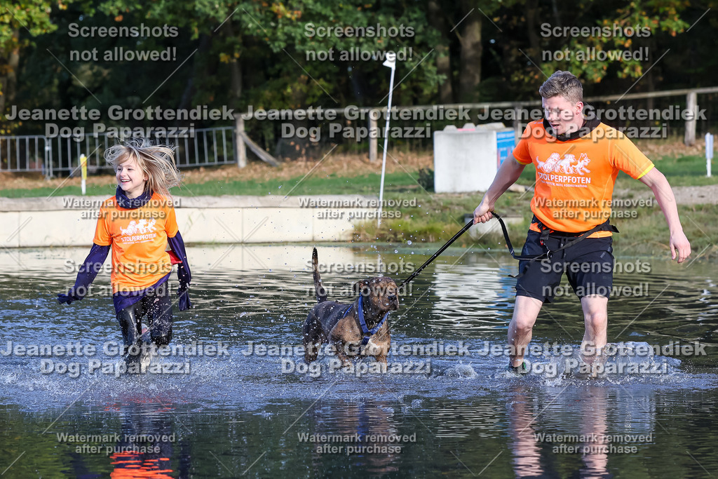 Dog Paparazzi - Strongdog 10-25-8572 | Dog Paparazzi Jeanette Grottendiek Fotografie & Videografie - Realisiert mit Pictrs.com