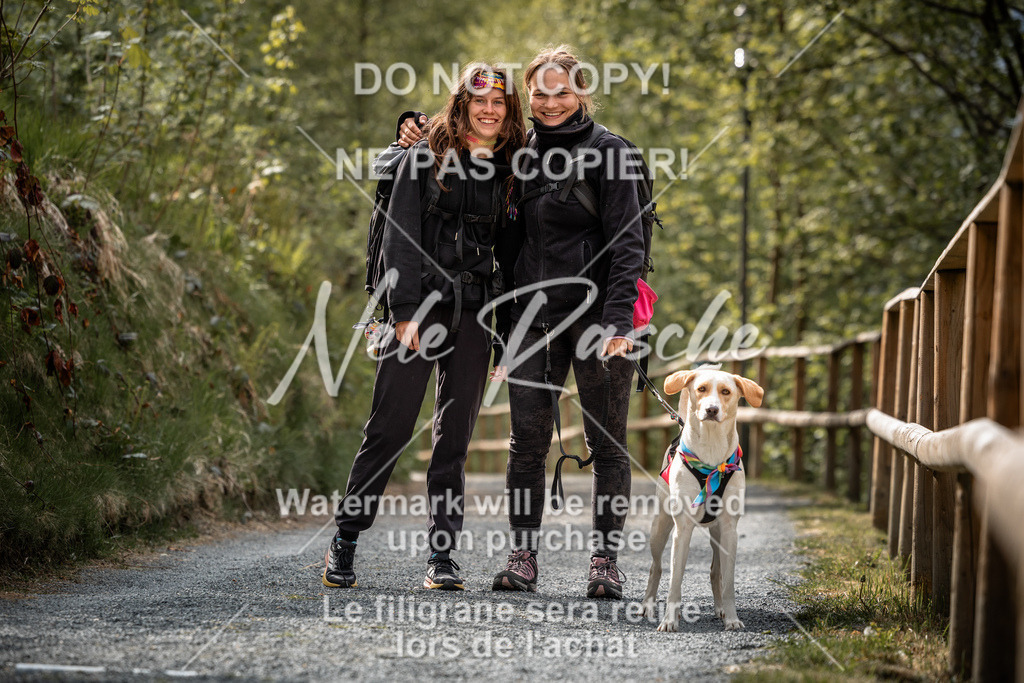 nelerasche_SaAbends_98 | nelerasche - Realisiert mit Pictrs.com