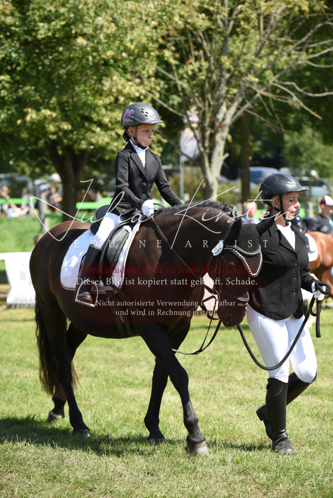 DSC_9776 | Pferde- und Turnierfotografie in Westsachsen. Pferdeportraits, Auftragszeichnungen und intuitive Kunst.