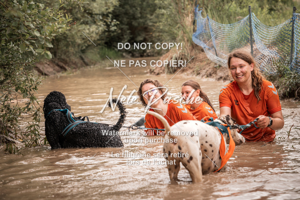 nelerasche_Hoope2026_So1000-1030_395 | nelerasche