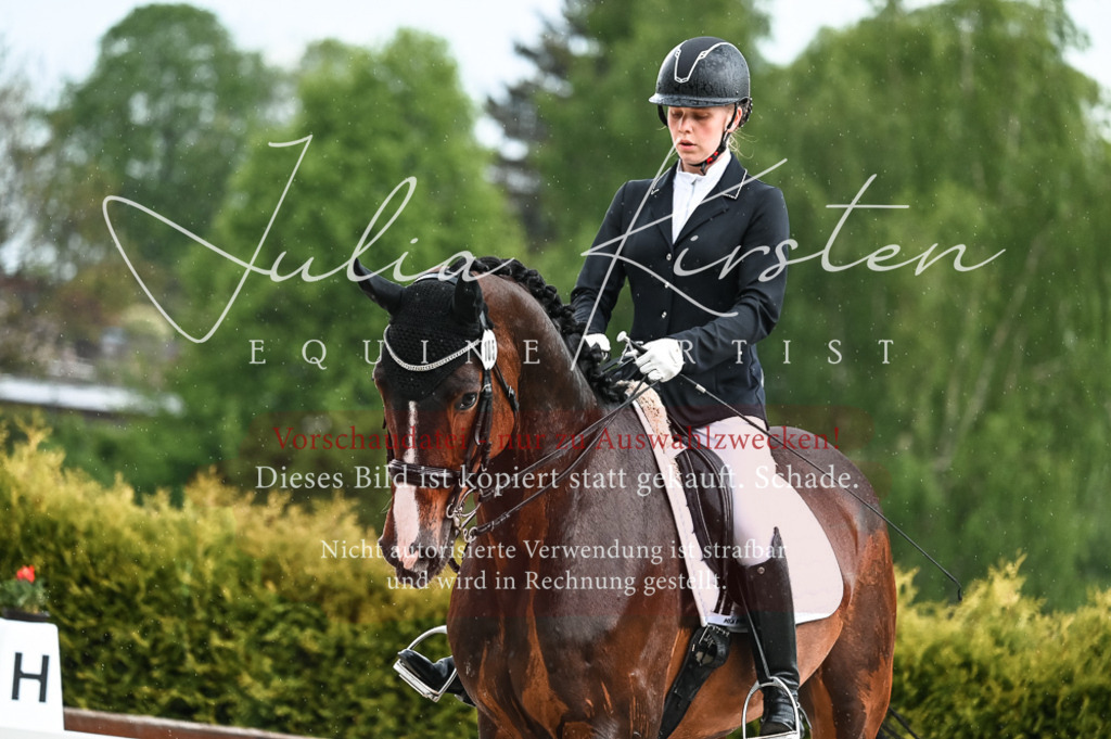 DSC_4154 | Pferde- und Turnierfotografie in Westsachsen. Pferdeportraits, Auftragszeichnungen und intuitive Kunst.