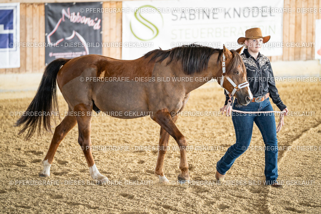 DSC07461 | Pferdegrafie