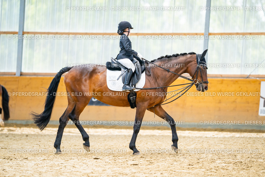 DSC00980 | Pferdegrafie