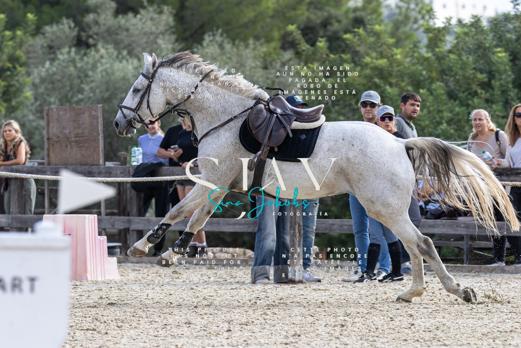 IMG_3252 | s-jay-photography - Realisiert mit Pictrs.com