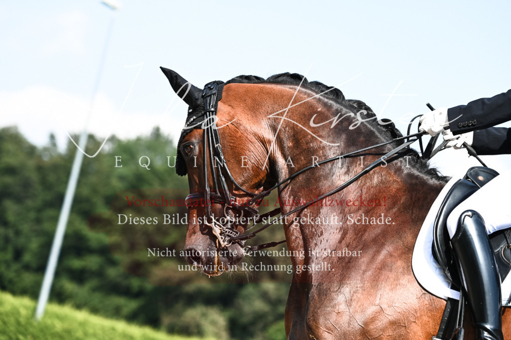 DSC_3053 | Pferde- und Turnierfotografie in Westsachsen. Pferdeportraits, Auftragszeichnungen und intuitive Kunst.