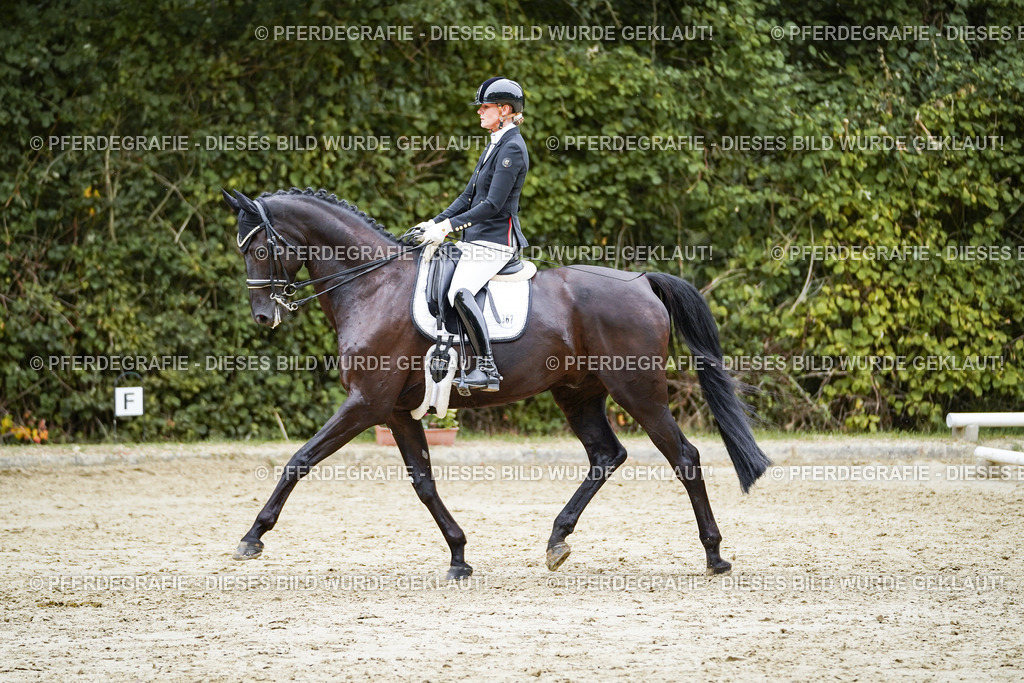 DSC01351 | Pferdegrafie