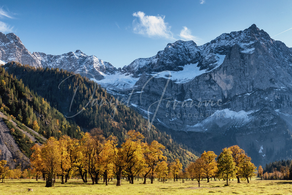 Großer Ahornboden | Herbst am Großen Ahornboden