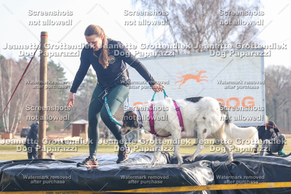 Dog Paparazzi - Strongdog North Mrz26-264 | Dog Paparazzi Jeanette Grottendiek Fotografie & Videografie - Realisiert mit Pictrs.com