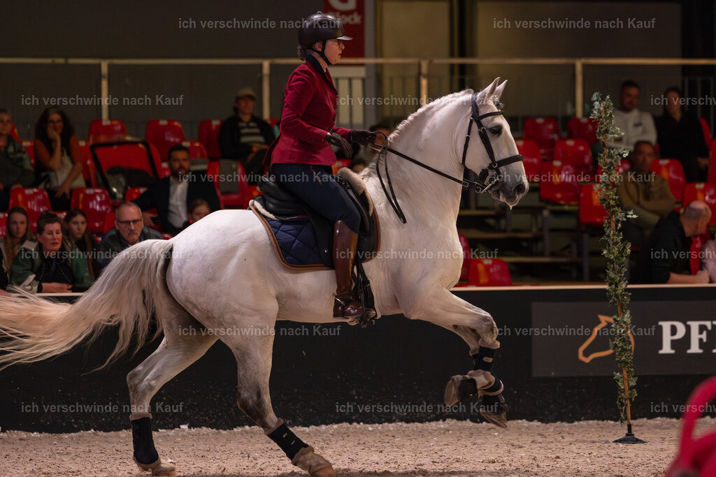 JoseraCup-172 | working equitationturnier fotograf videograf stoibphotography marixx film working equitation deutschland reitsport turnierfotografie eventfotografie equestrian events