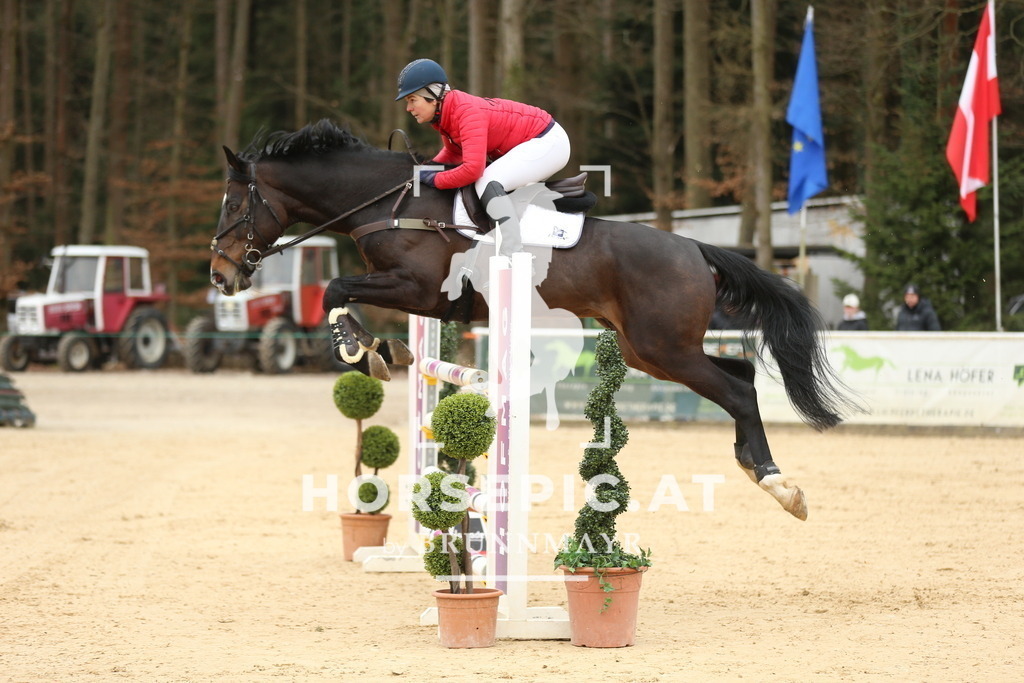 DL2Q5718 | Willkommen bei Brunnmayr - Design & Fotografie – Ihrem Spezialisten für Reitturniere und Pferdeveranstaltungen in Oberösterreich, Salzburg und Bayern! Seit über 17 Jahren sind wir leidenschaftlich dabei.