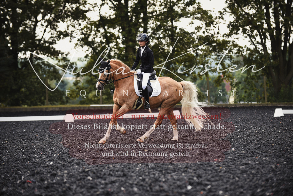 DSC_3837 | Pferde- und Turnierfotografie in Westsachsen. Pferdeportraits, Auftragszeichnungen und intuitive Kunst.