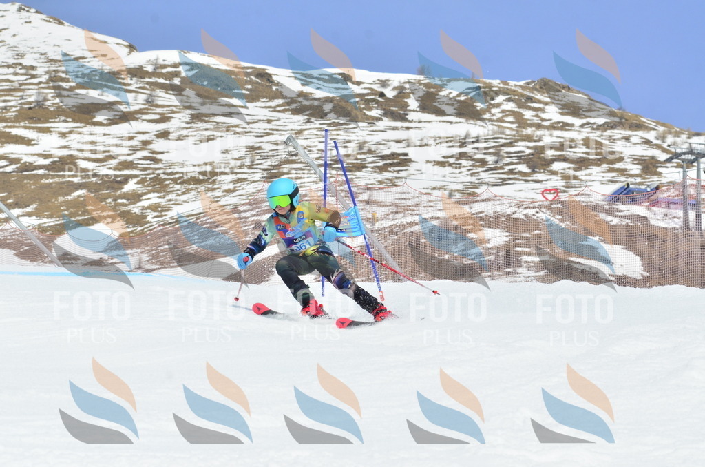 _ELE2864 | holidayphoto