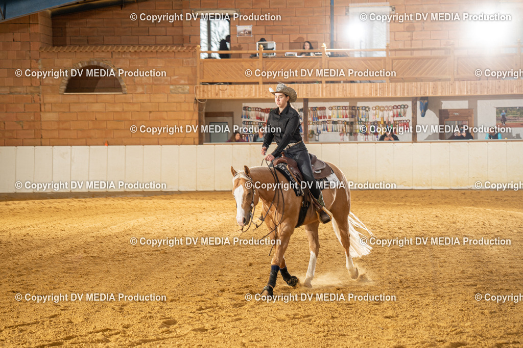 MIT00684 | dv-media-shop - Realisiert mit Pictrs.com