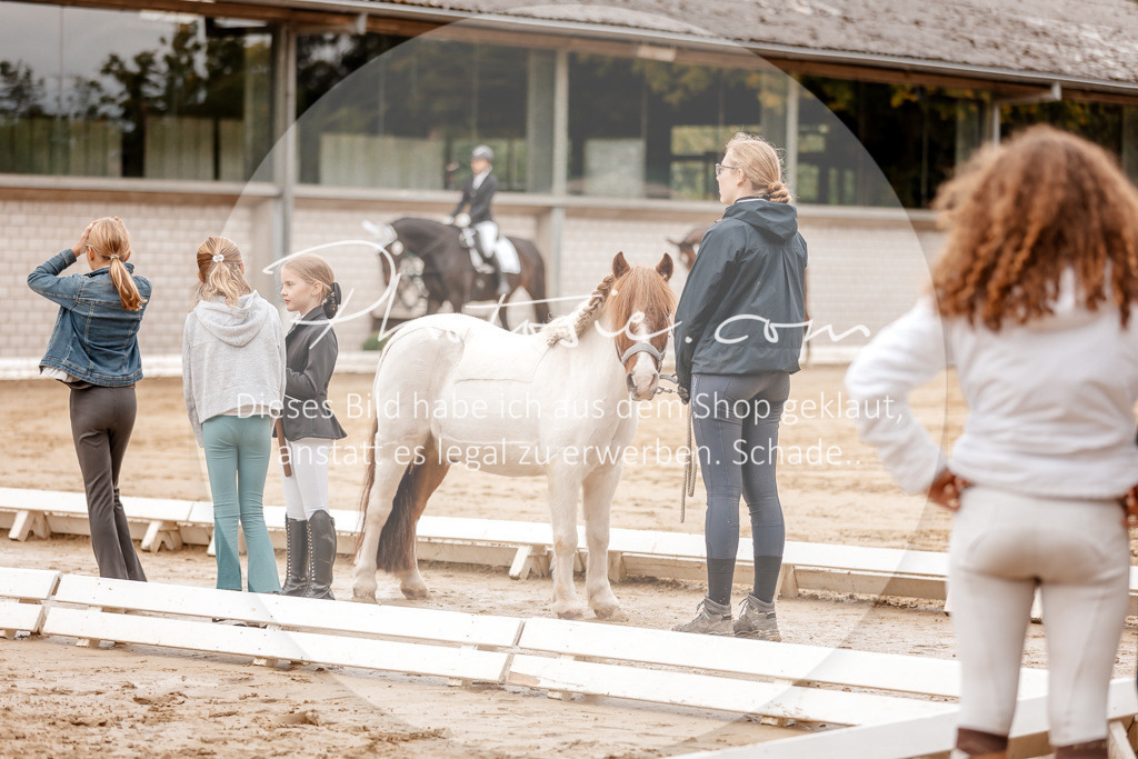3I6A8282 | Stimmungsvolle Portraits und Reitsportfotografie im Ruhrgebiet und im Münsterland.

Pferdefotografie, Hundefotografie, Tierfotografie, Reportagen, Portraits von Tier und Mensch, Turnierfotografie in Bochum, Recklinghausen, Marl, Haltern am See, Dülmen.. - Realisiert mit Pictrs.com