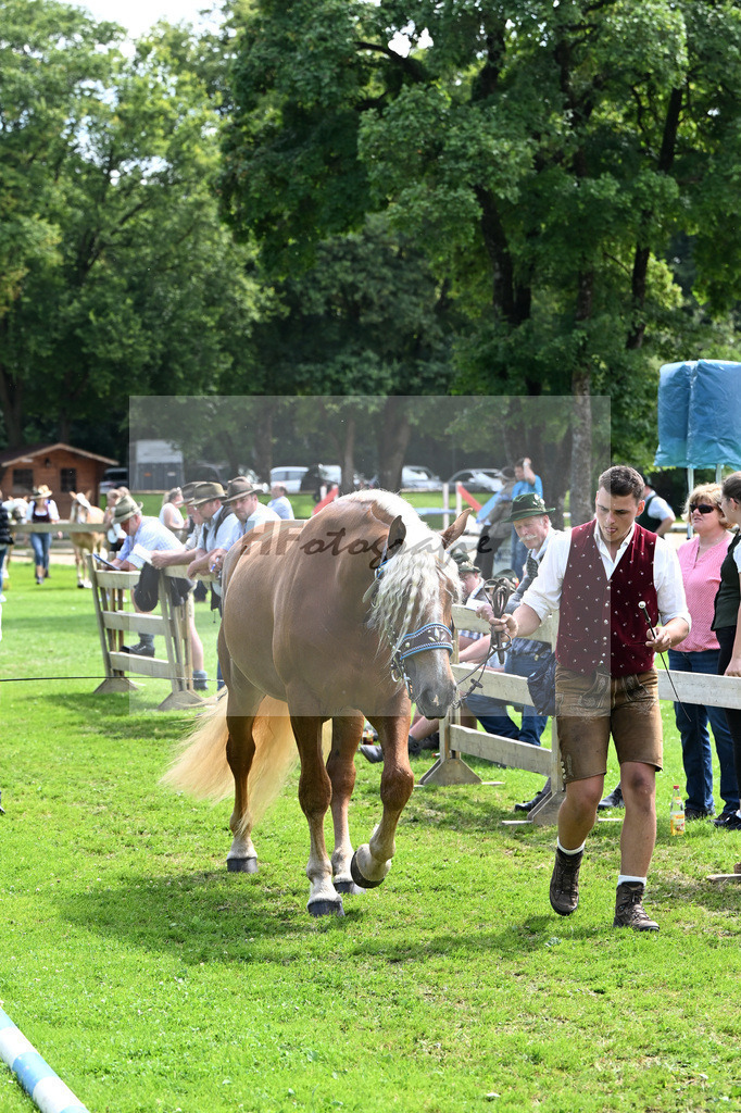 Kat-Nr. 78 Helvicia v. Veitel_Lamecker_22241374 | hf-fotografie - Realizzato con Pictrs.com