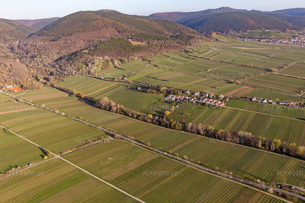 Luftbild: Ortsteil Siedlung in Edenkoben im Bundesland Rheinland-Pfalz in Deutschland. Foto: IMG_126311.jpg vom 04.04.2021 durch Werner Riehm/FLY-FOTO.de