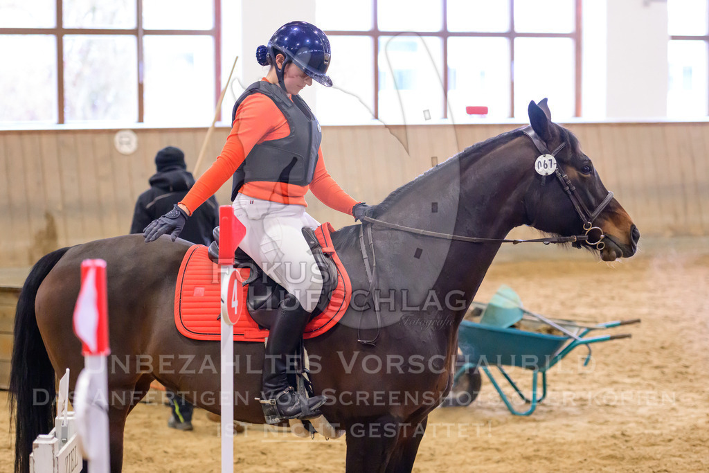29032026-Schwaiganger-Prfg03-1-1392 | Fokus Hufschlag Fotografie - Realisiert mit Pictrs.com