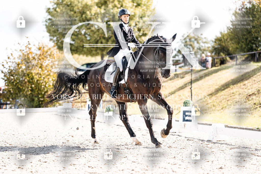 CK902573 | Turnierfotografie Pferdefotografie Trier Rheinland-Pfalz Pferdesport Reitsport Tierfotografie Sportfotografie Pferdevideo Pferdevideografie Equestrianvideography equestrianphotography  - Realisiert mit Pictrs.com