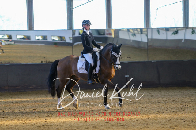 IMG_3096 | Turniersportfotografie; Pferdefotografie; Dressurfotografie